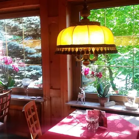 Landgasthof Goebel Πανσιόν Willingen (Upland)