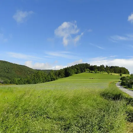 ゲストハウス Landgasthof Goebel ヴィリンゲン