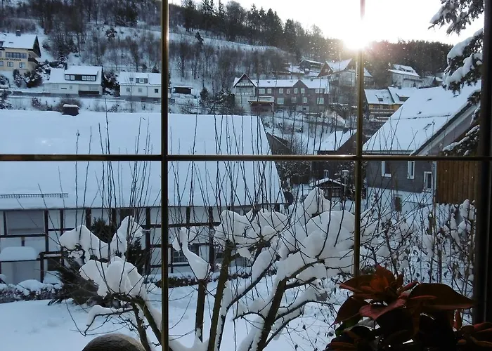 Landgasthof Goebel 3* Виллинген