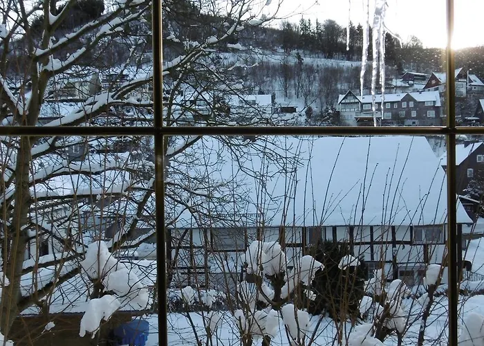 Landgasthof Goebel 3* Виллинген