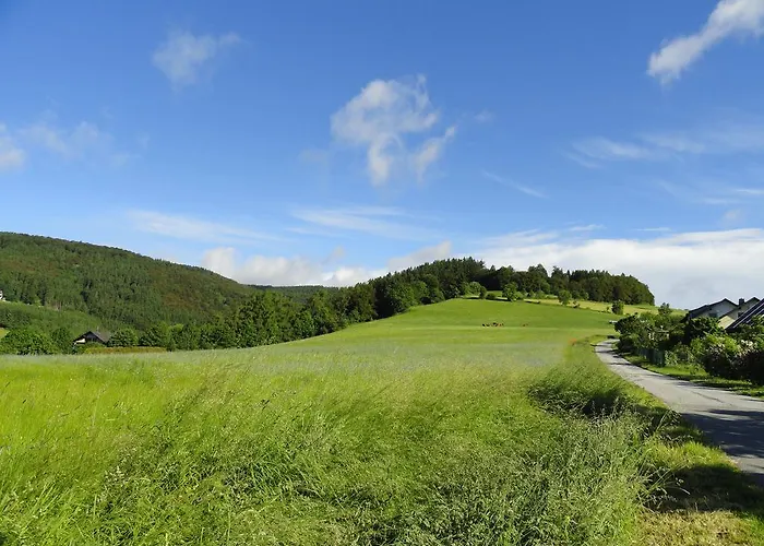 Гостевой дом Landgasthof Goebel Виллинген